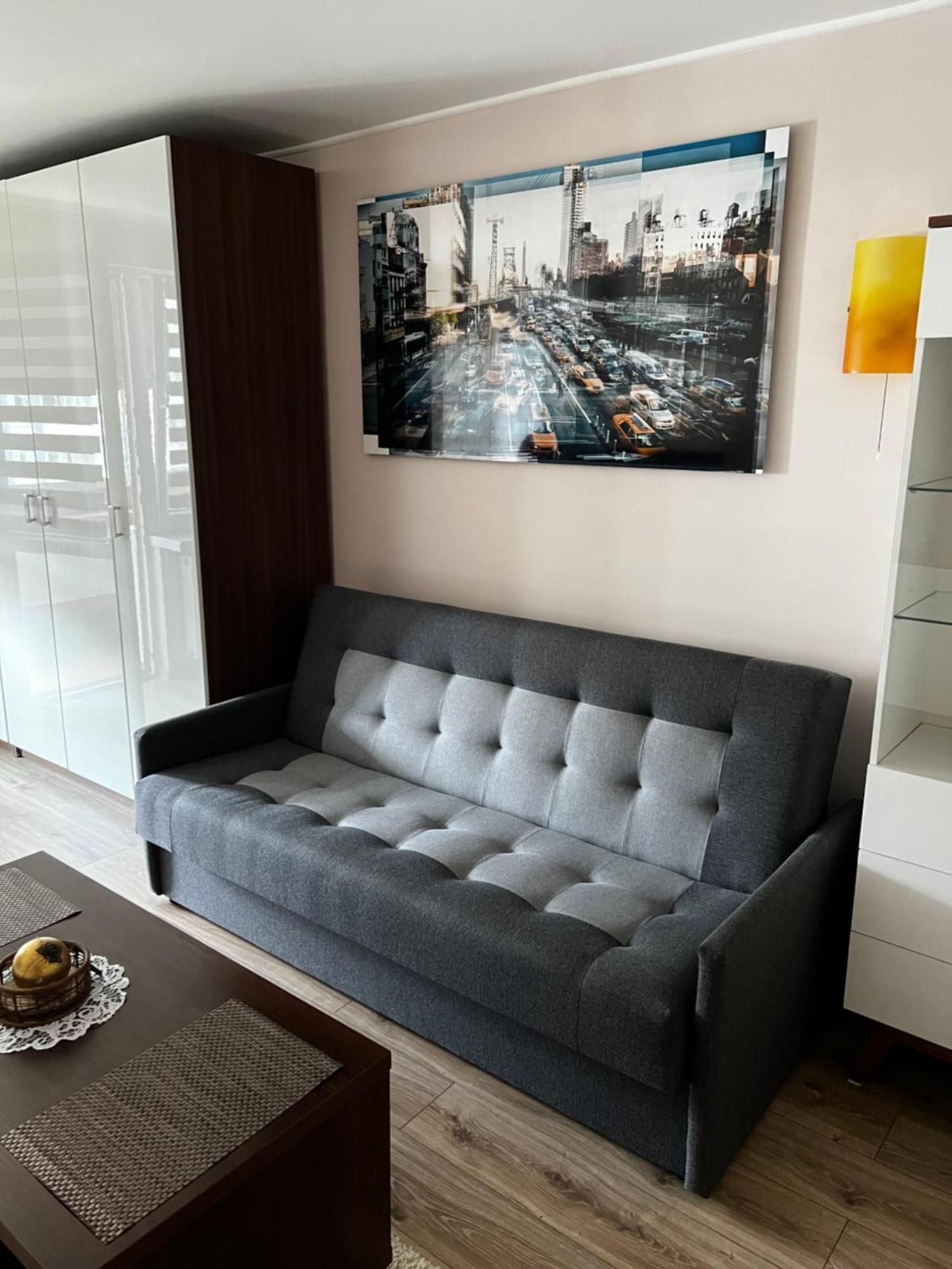 Zielonemistrzejowice Apartment