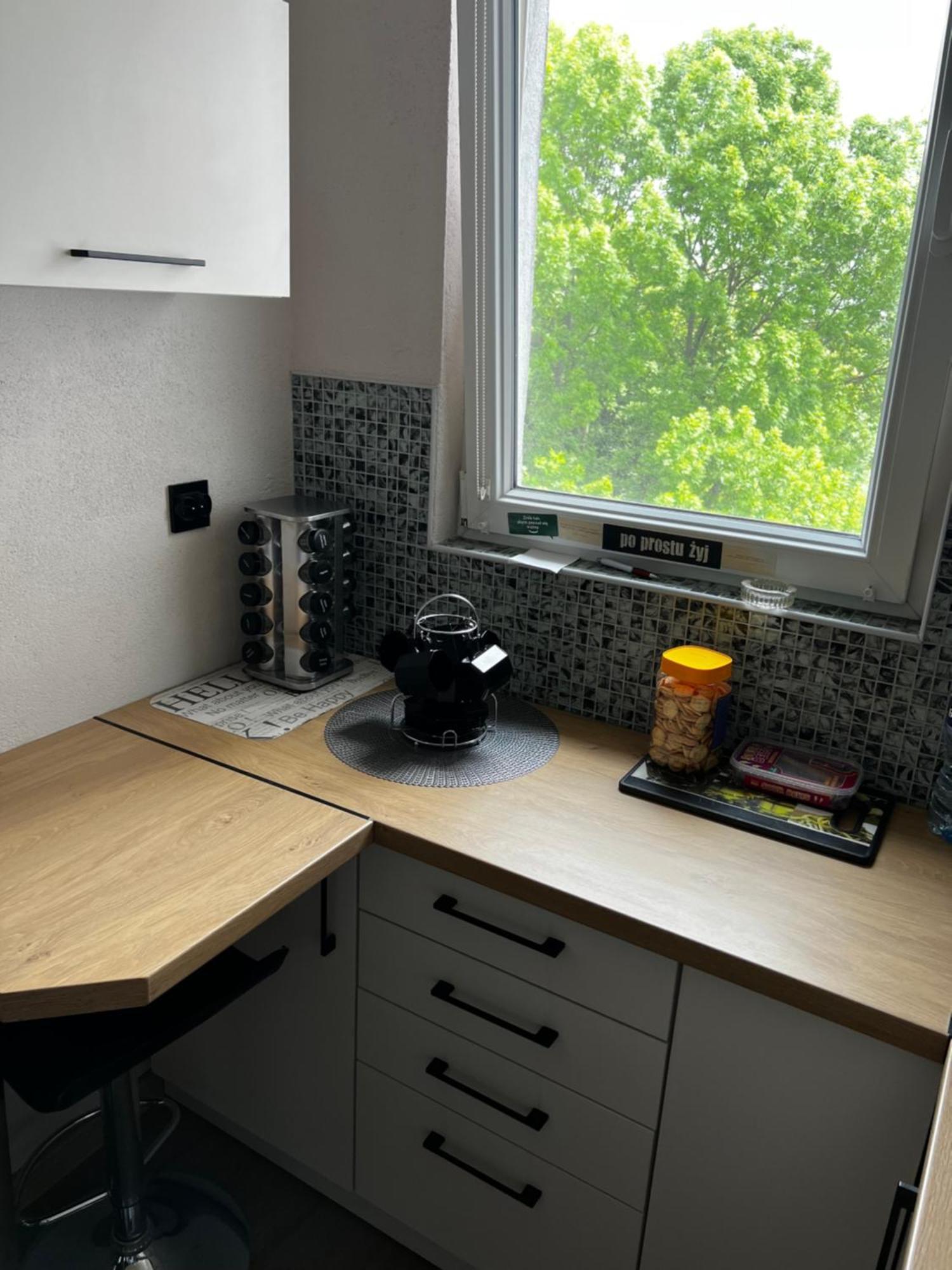 Apartment Zielonemistrzejowice